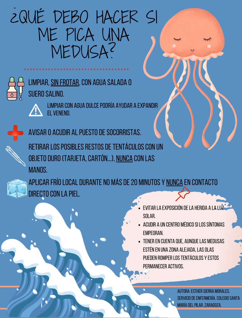 infografía.medusa 2