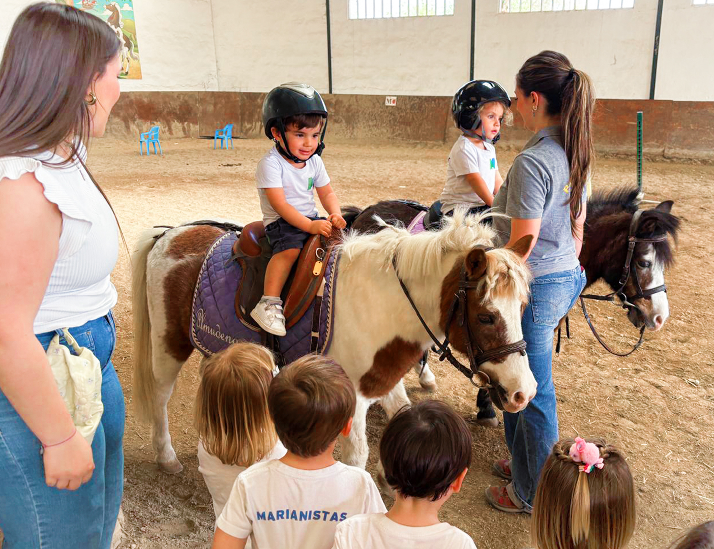 Pandas, Koalas… ¡y ponis!